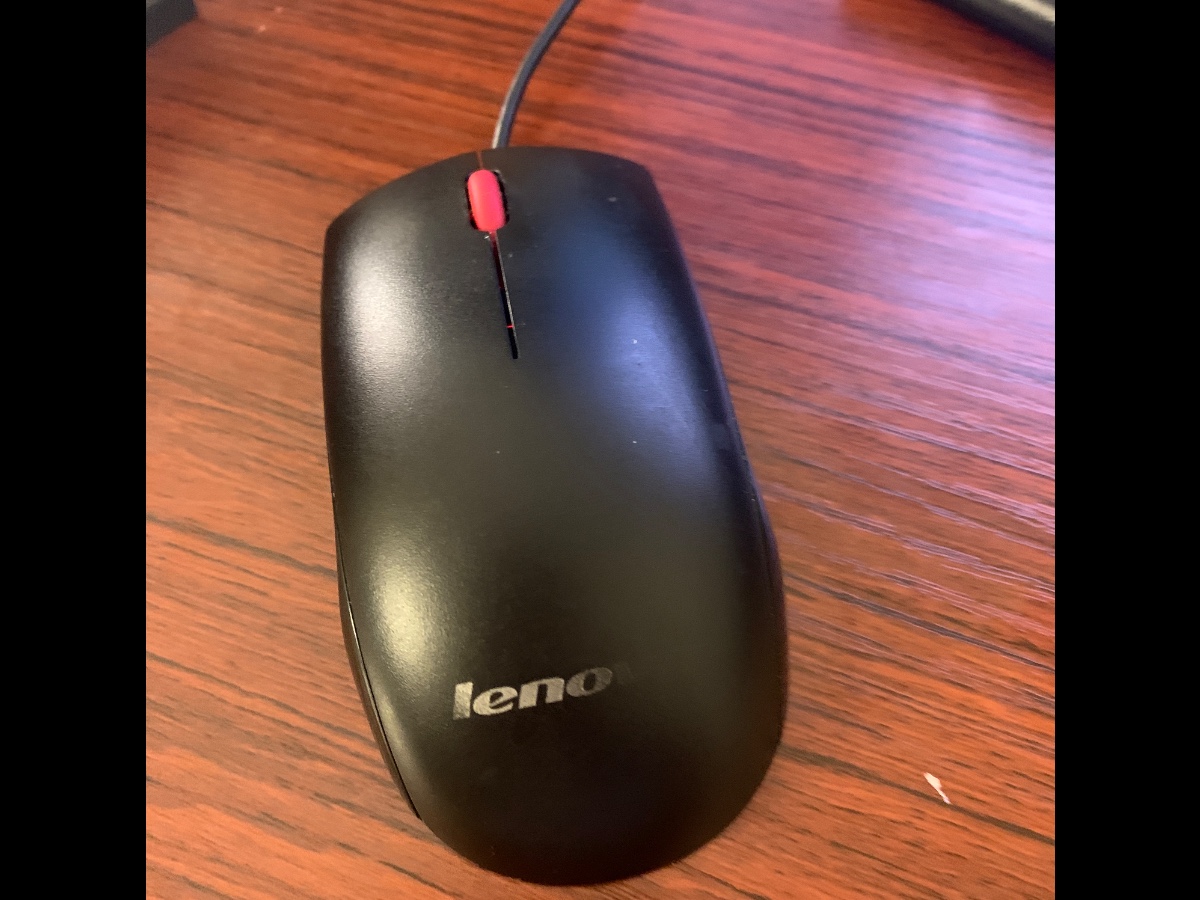 mouse